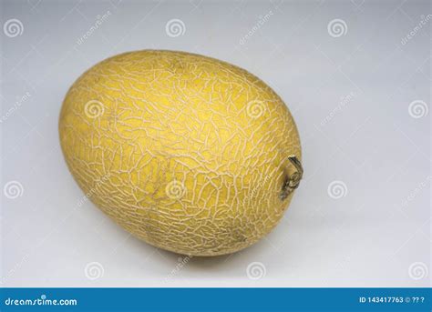 Growing Mature Golden Yellow Chinese Hami Melon Stock Image - Image of ...