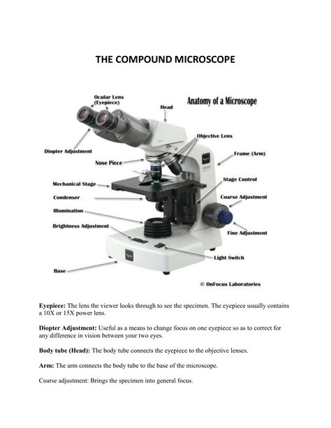 Image result for Compound Microscope with Label