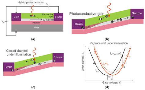 Trends in Performance Limits of the HOT Infrared Photodetectors