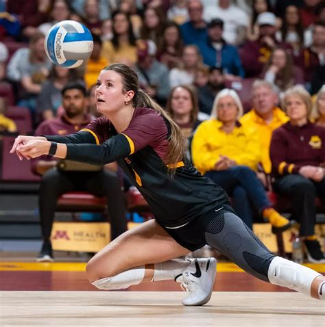 Minnesota Volleyball | The Daily Gopher