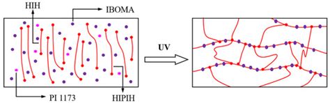 Synthesis and Structure of 2-Hydroxypropyl Methacrylate-Capped ...