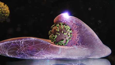 Flu Virus Entry: Real-Time Video Reveals How Viruses Infect Cells - World Today Journal
