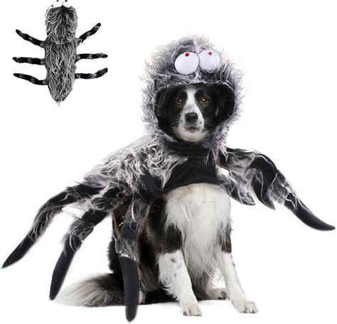 Dog Spider Costumes For Halloween at Rose Briggs blog