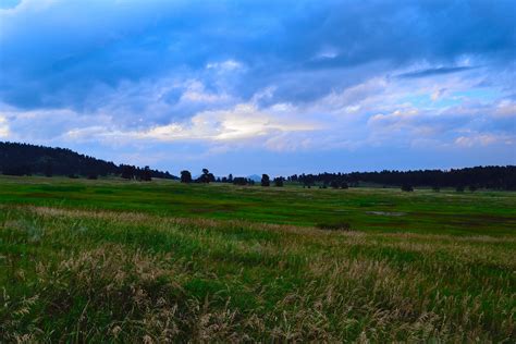 Elk Meadow Park Colorado Hike Guide - Virtual Sherpa