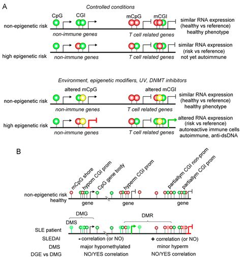 Contribution of Dysregulated DNA Methylation to Autoimmunity