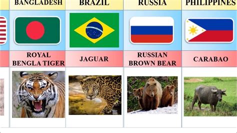 Image result for Animals On Button Moon