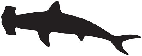 Hammerhead Sharks Clipart