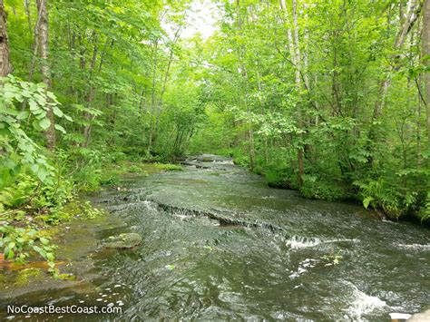 Hike Wolf Creek Falls and Quarry Loop at Banning State Park