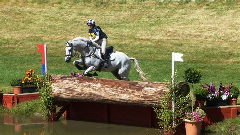 Free Images : water, stallion, competition, tournament, gallop ...