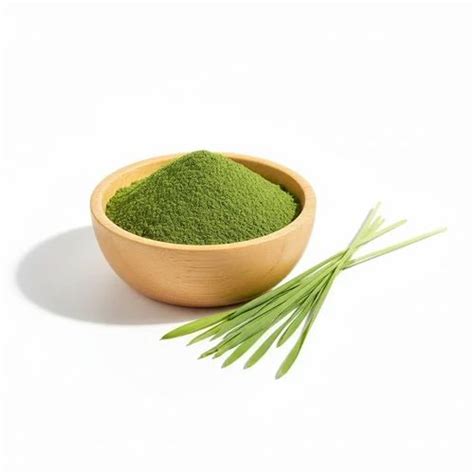 Herbal And Botanical Products - Wheat Grass Powder Manufacturer from Pune