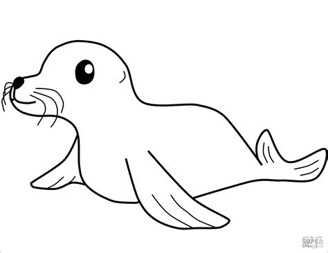 Seal Coloring Pages - ColoringBay