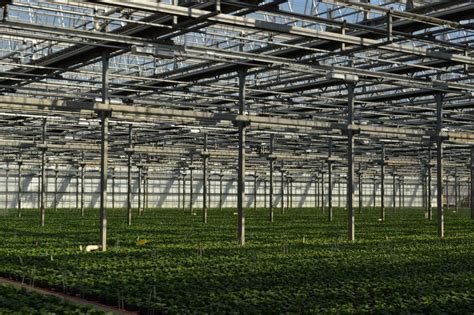 Metrolina Greenhouses | American Galvanizers Association