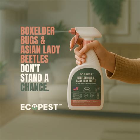 Boxelder Bug & Asian Lady Beetle Spray – Natural, Plant-Based Spray wi