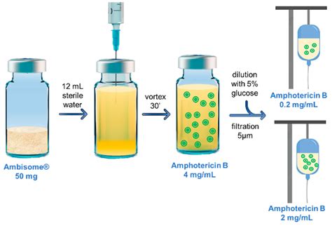 AmBisome® Formulations for Pediatrics: Stability, Cytotoxicity, and ...