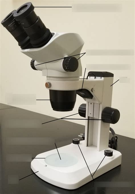 Image result for Dissecting Microscope