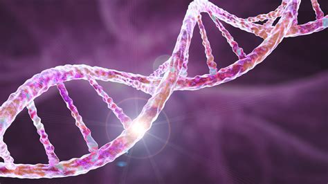 Serial killer 'gene': What is it, and is it real? | The US Sun