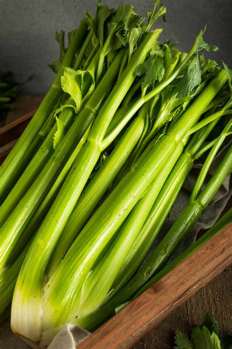 Celery Carbs 1 Cup at Makayla Sleath blog