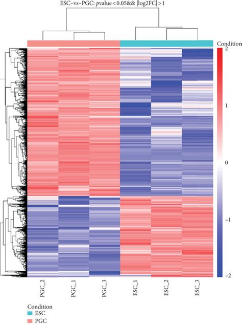 Image result for Transcriptomic Analysis