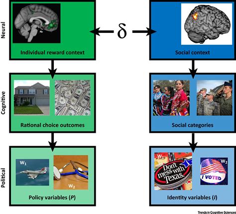 Issues or Identity? Cognitive Foundations of Voter Choice: Trends in ...