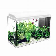 aquarium pas cher neuf aquarium iban longueur de 80 cm blanc aquadisio aquarium pas cher neuf aquarium iban longueur de 80 cm blanc aquadisio