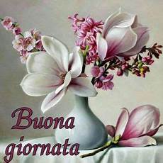 fiori d acciaio frasi dolce giornata amici il magico mondo dei sogni fiori d acciaio frasi dolce giornata amici il magico mondo dei sogni