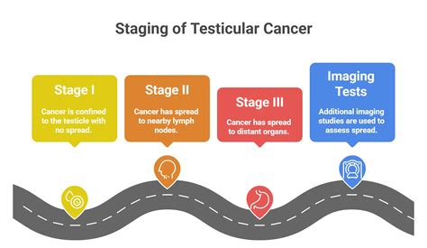 Testicular Cancer: What Every Man Should Know