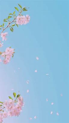 Iphone Pastel Aesthetic Floral Wallpaper by Sky Flower Themes In 2019 Aesthetic Pastel Wallpaper Iphone Pastel Aesthetic Floral Wallpaper