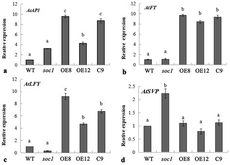 Gene and Its Promoter Cloning, and Functional Validation of JmSOC1 ...
