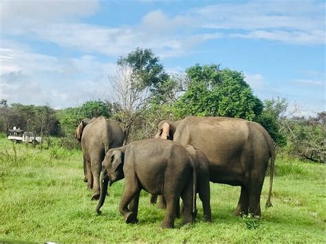 Great experience with this agency and with Viraj - Reviews, Photos ...