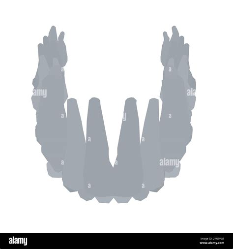 Dental silhouette set Black and White Stock Photos & Images - Alamy