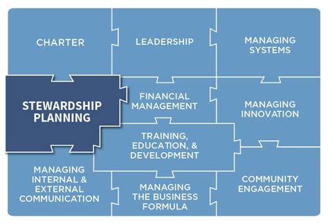 Image result for How to Implement Stewardship