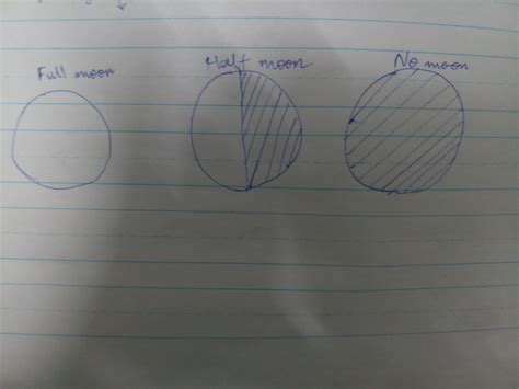 draw the three phases of moon from amavasya to poornima and explain ...