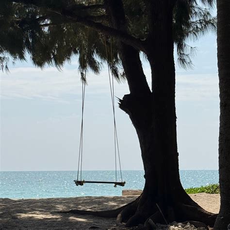 SILVER SAND BEACH RESORT, HAVELOCK (Havelock Island, Andaman and ...