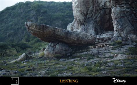Lion King Pride Rock Real