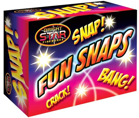 Who to Use Fun Snaps 的图像结果