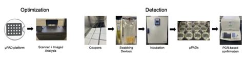 Development and Evaluation of a Paper-Based Microfluidic Device for ...
