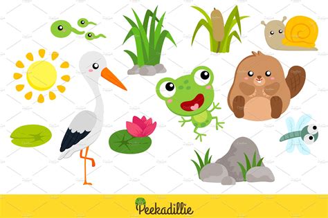 Pond Wild Animals Vector Clipart – MasterBundles