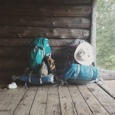 High, Low, Buffalo – A Summer Review – A Field Guide to Marrying Young