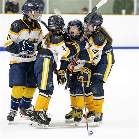 Valley Junior Warriors (@vjwhockey) • Instagram photos and videos