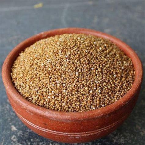 varsha traders Organic Natural Seeds / Kodo Millet Seed / Kodon / Kodra ...