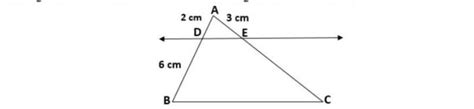 33. Prove that "If a line is drawn parallel to one side of a triangle ...