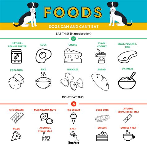 Dog Food Similar To Human Food at Edward Tucker blog