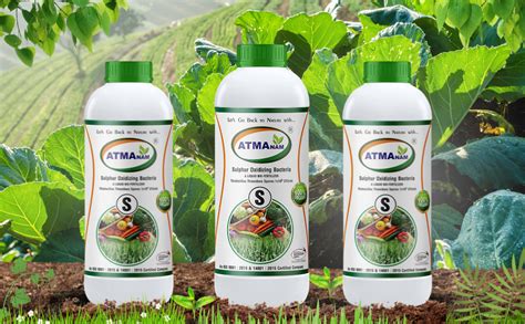 Atmanam Sulphur BIO Fertilizer for plants | Sulphur oxidizing Bacteria ...