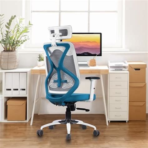 DROGO Premium Ergonomic Office Chair for Work from Home, High Back ...