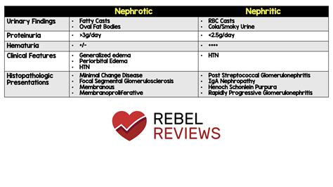 Nephrotic Syndrome Versus Nephritic Syndrome – LRYLSY