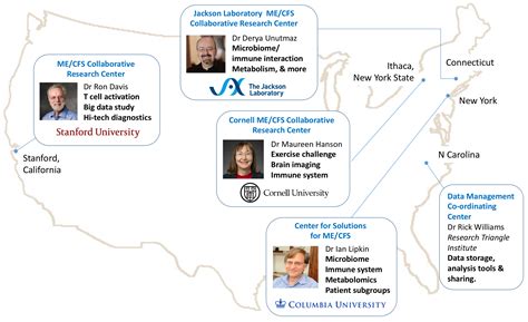 Image result for Collaborative Map