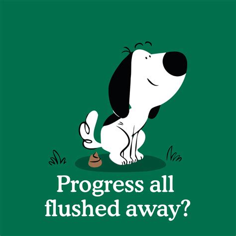 Puppy Potty Training Regression: What is it and how to fix it? - Zigzag