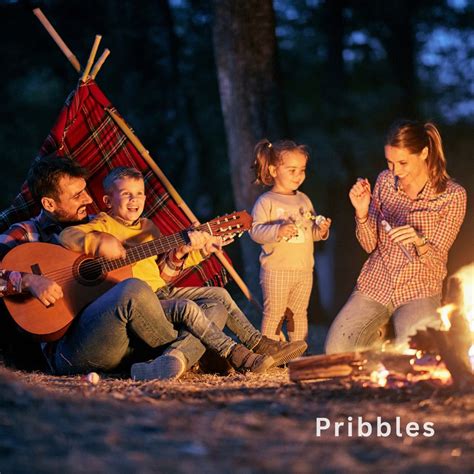 Kids Camping Crafts 的图像结果