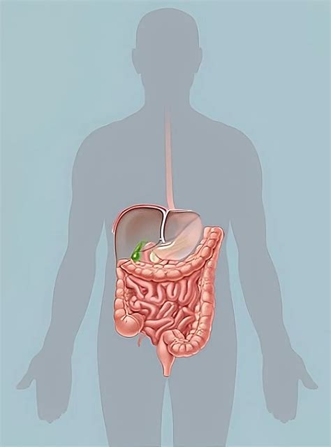 Colon Hydrotherapy for Cancer | Integrative Oncology Nashik | IIIO