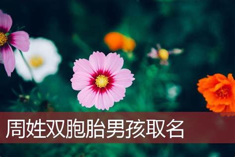 虎年出生的周姓男孩起名改名：涵养唯美的男宝宝名字 - 知乎